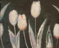 /album/fotogaleria-flores/tulipanes-blancos-60x50-50EUR-jpg/